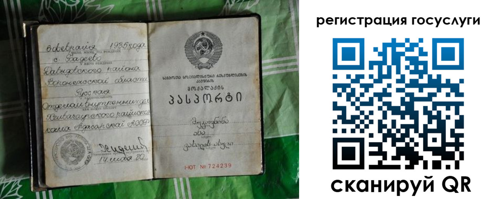 прописка в квартире в Пионерском